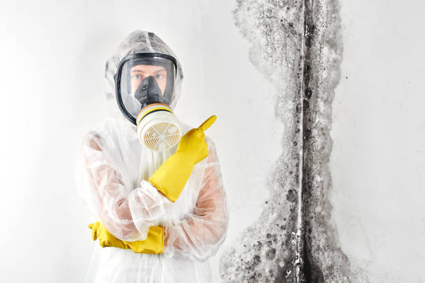 Best Mold Prevention Services  in Country Clu, MO